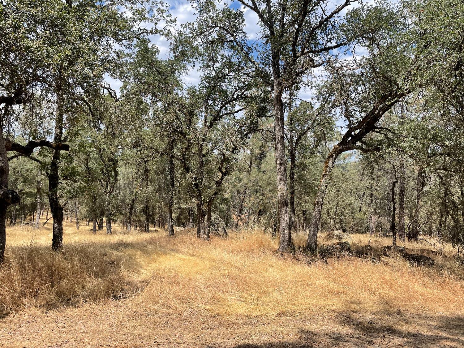 Wright Road, Auburn, California image 3