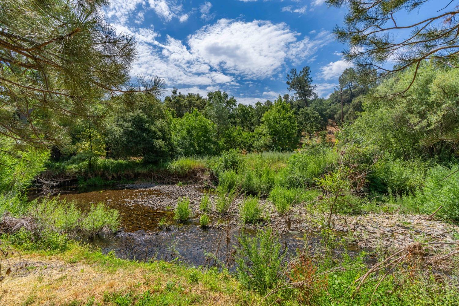 Sutter Creek Road, Sutter Creek, California image 8