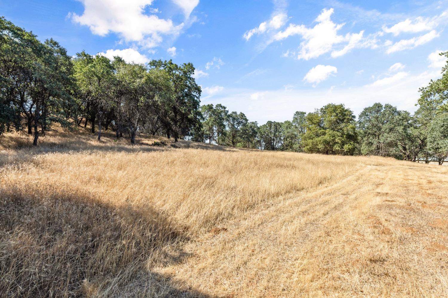Photo of 4100 Luneman Rd in Placerville, CA