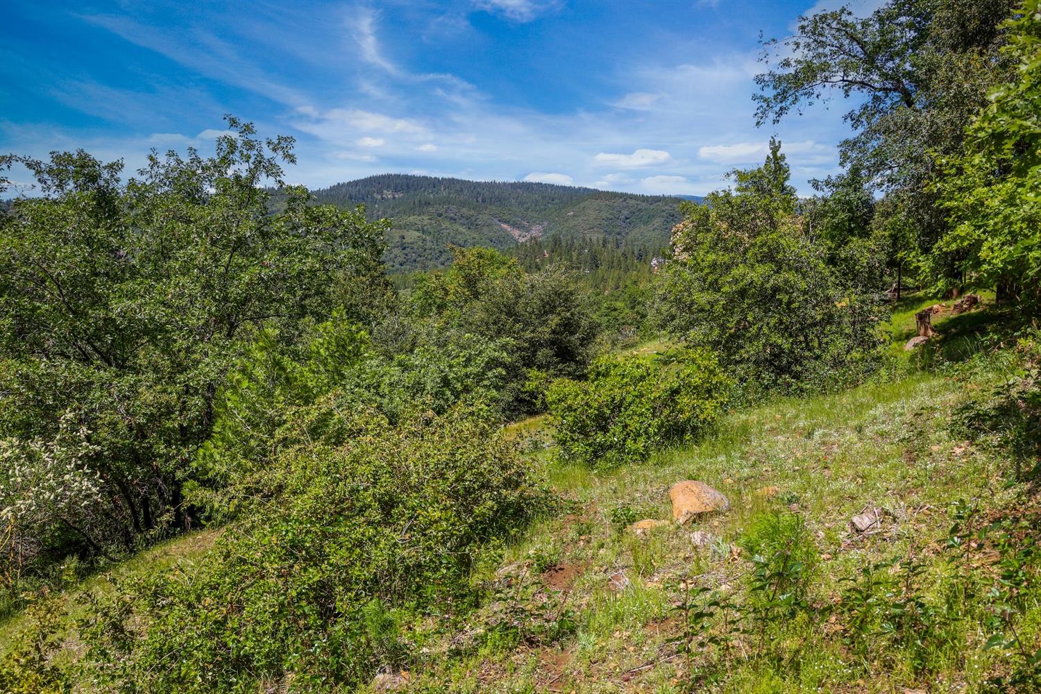 Snowberry Court, Murphys, California image 8