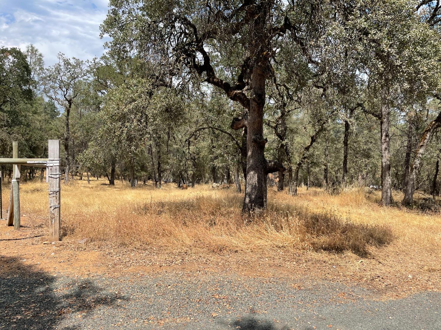 Wright Road, Auburn, California image 4