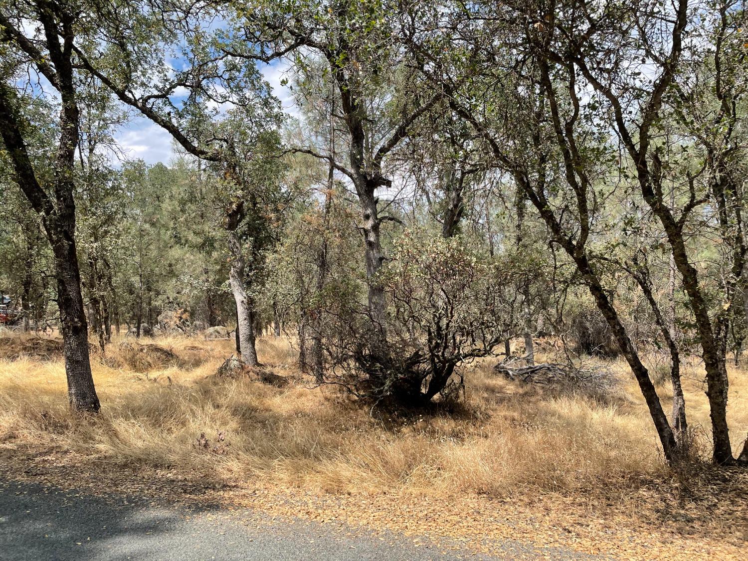 Photo of 13655 Wright Rd in Auburn, CA