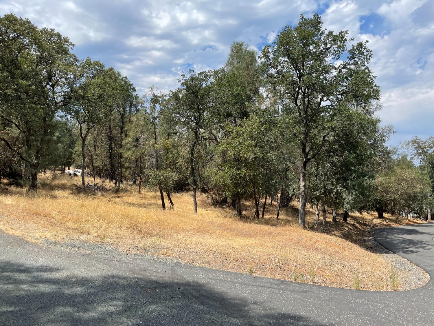 Wright Road, Auburn, California image 2