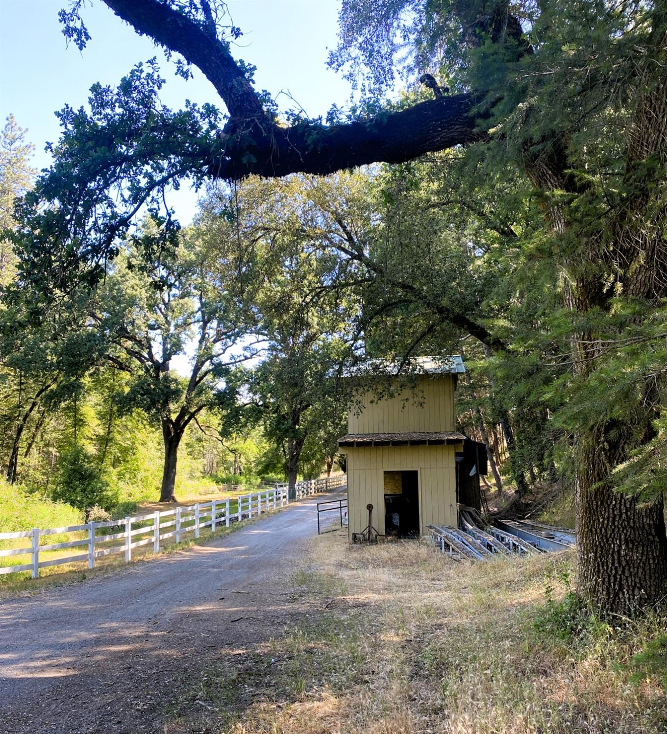 Boole Road, Applegate, California image 9