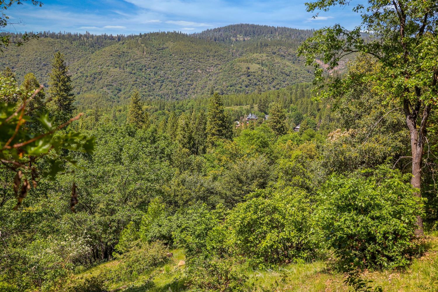 Snowberry Court, Murphys, California image 3