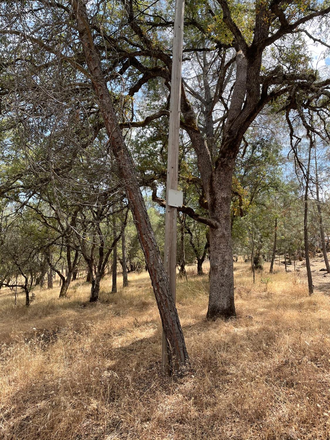 Wright Road, Auburn, California image 5