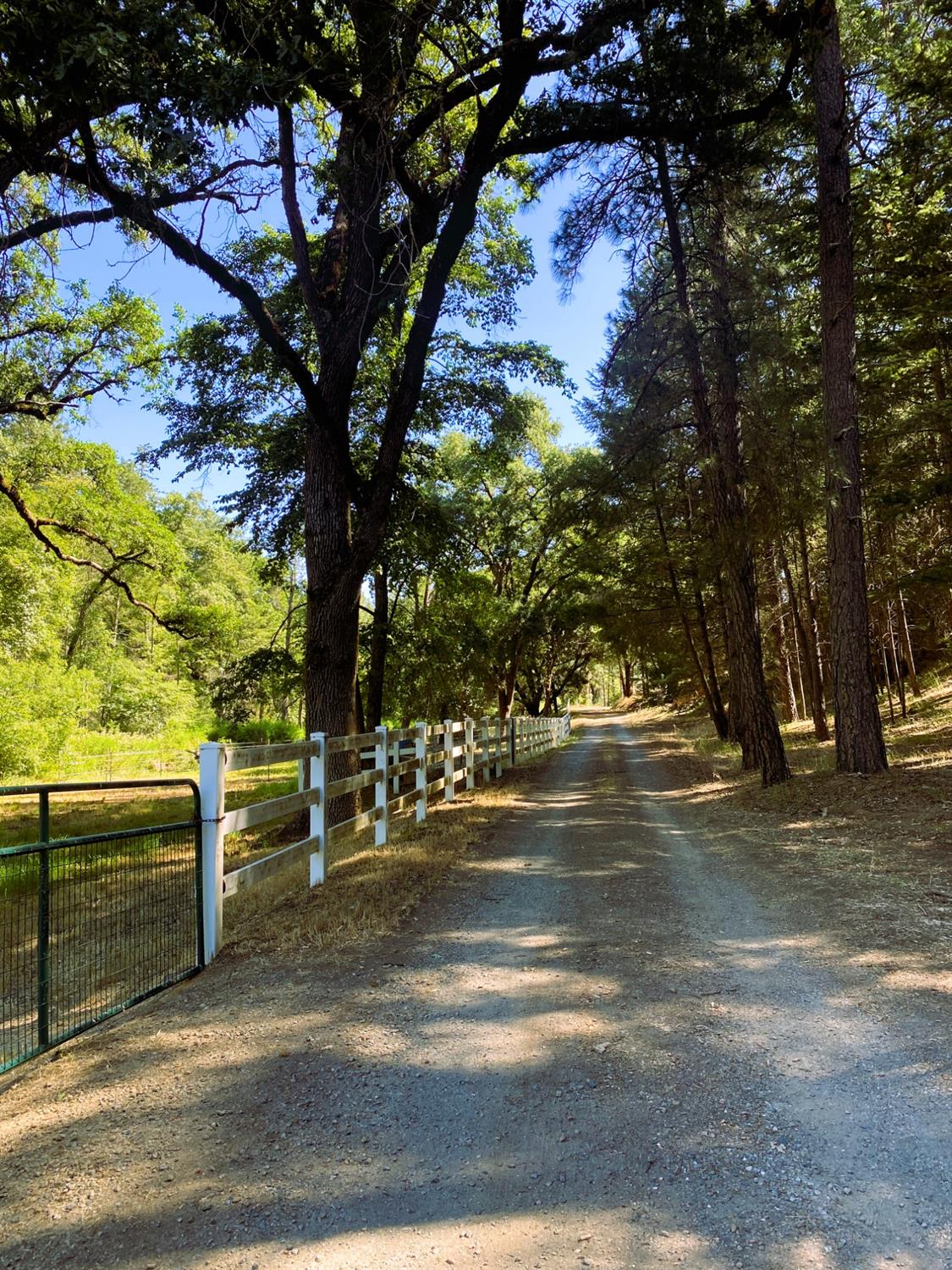 Boole Road, Applegate, California image 4