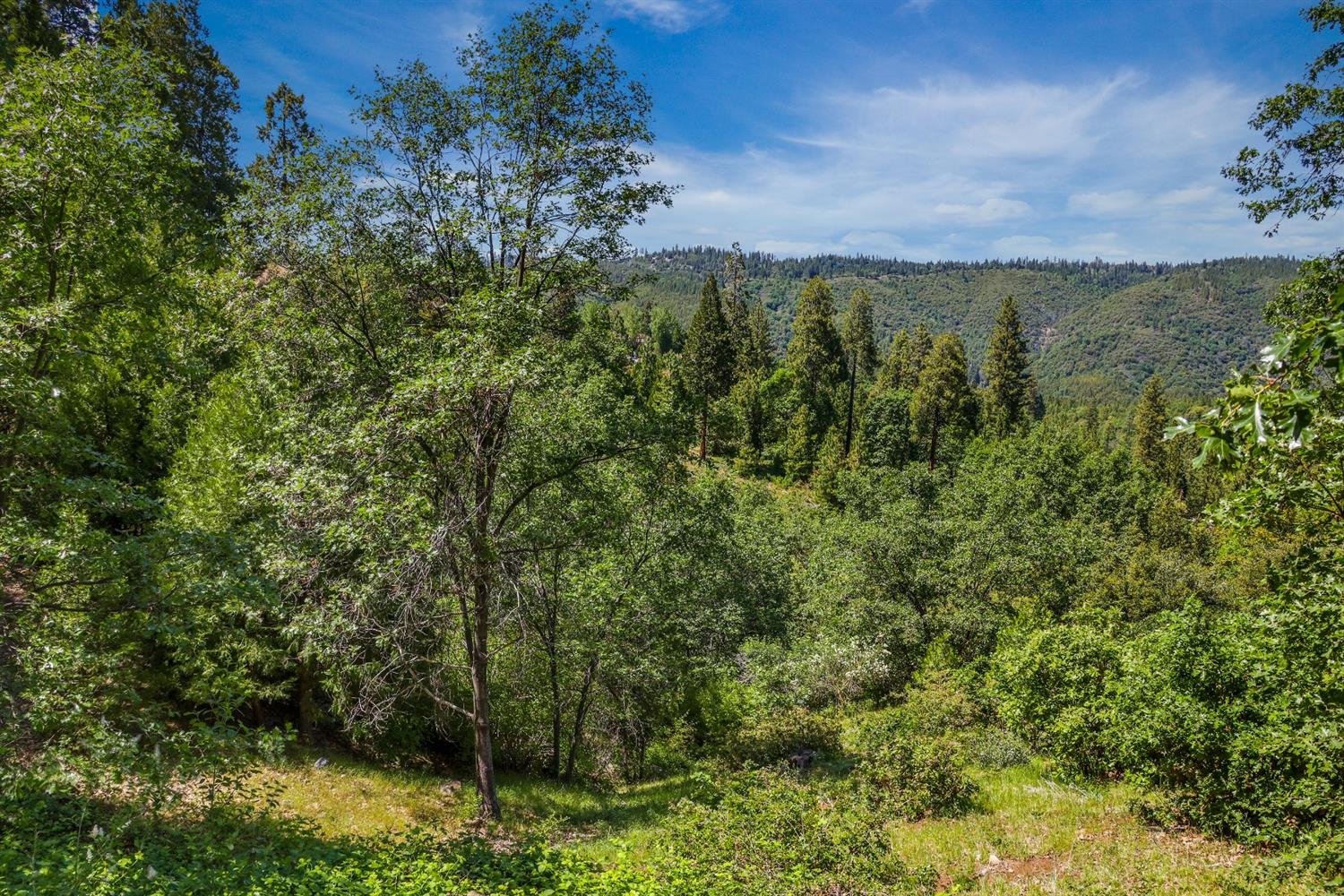 Snowberry Court, Murphys, California image 2