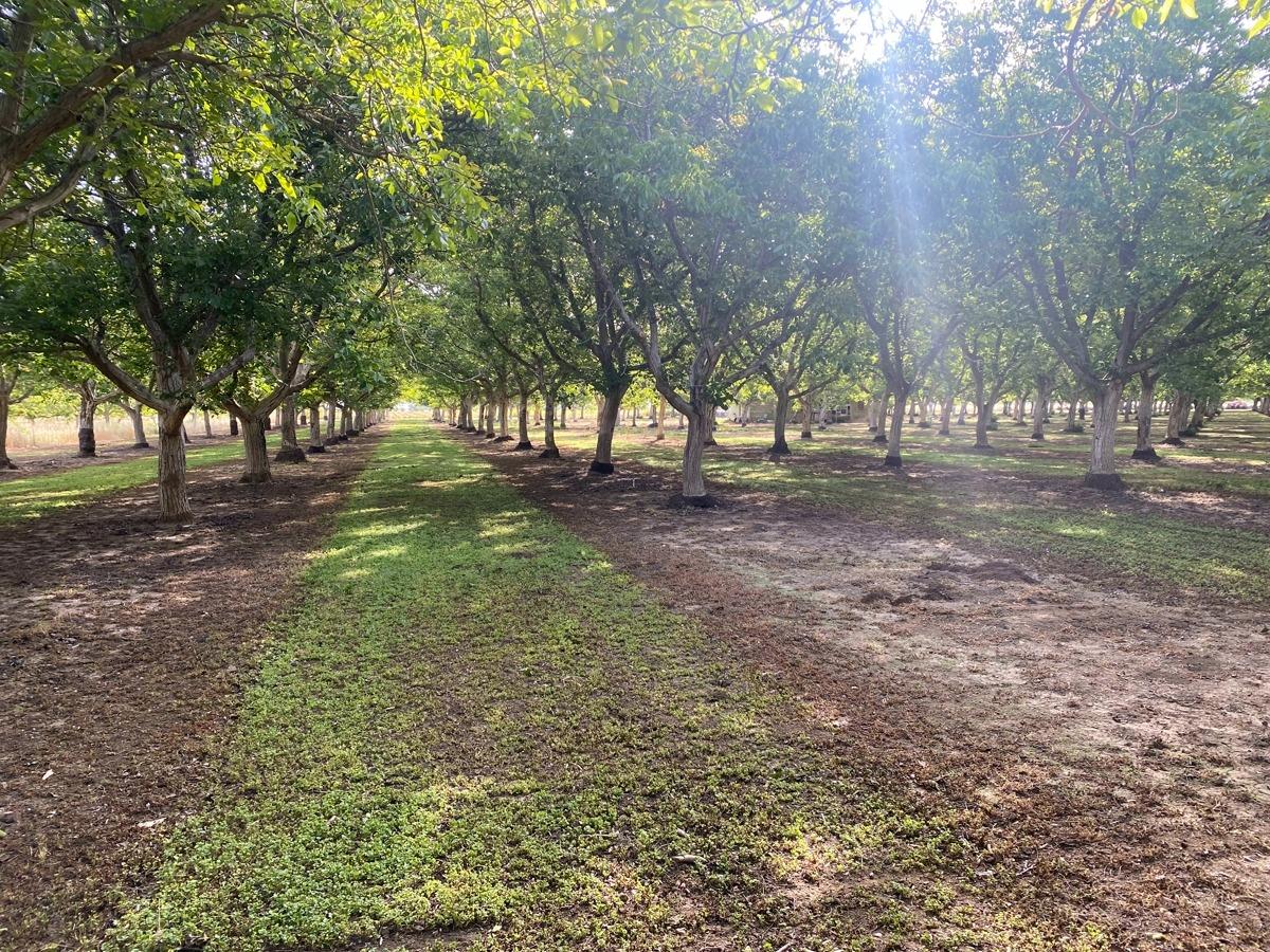 Photo of 0 County Rd 92F in Winters, CA