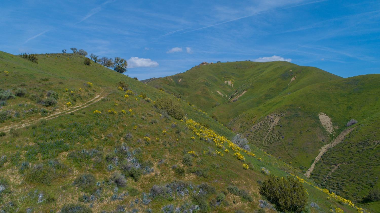 Los Gatos Road, Coalinga, California image 13