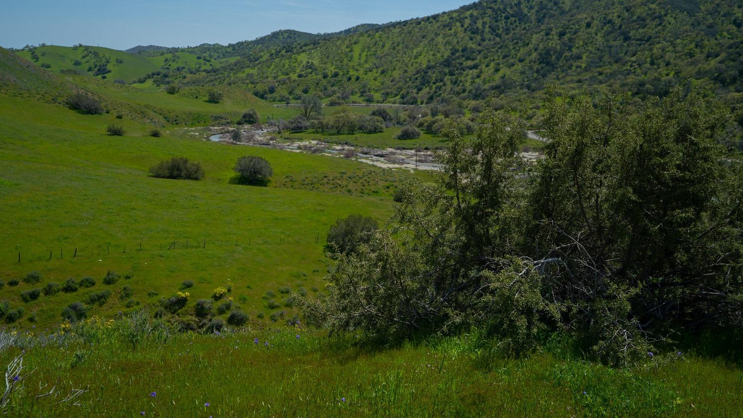 Los Gatos Road, Coalinga, California image 26