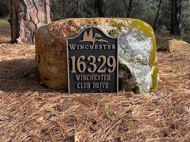 Winchester Club Drive, Meadow Vista, California image 16