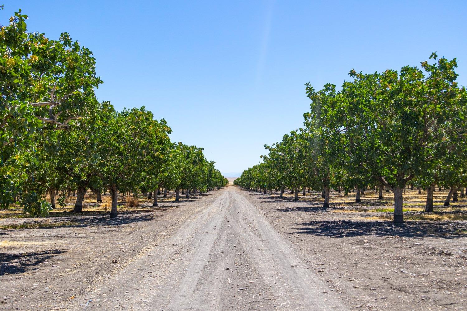 Hwy 140, Le Grand, California image 1