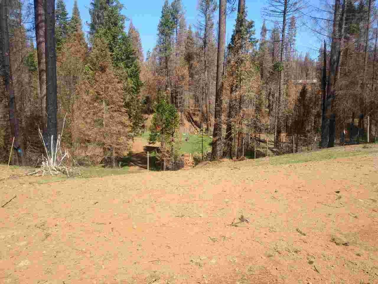 Photo of 4684 Sciaroni Rd in Grizzly Flats, CA
