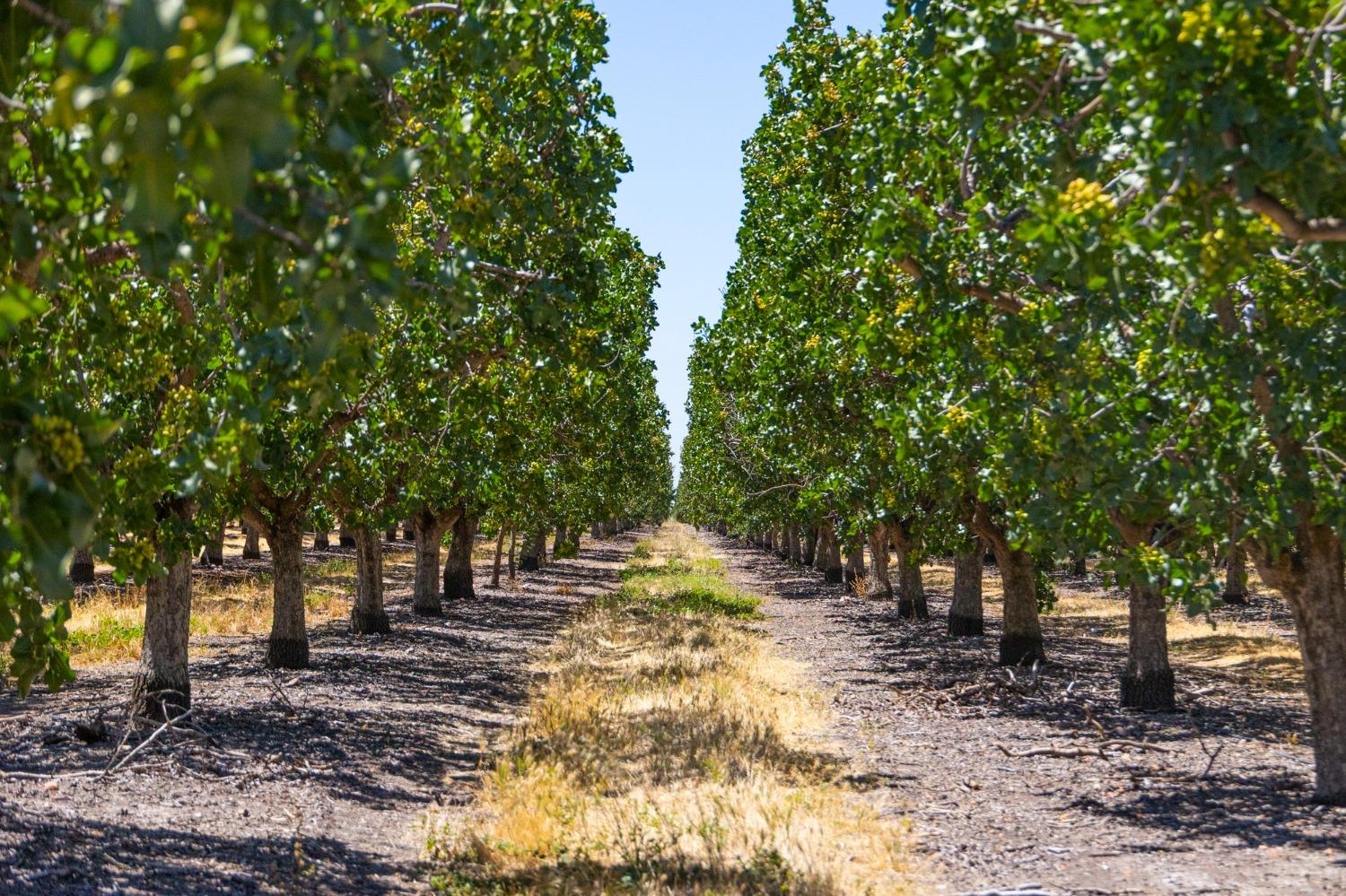 Hwy 140, Le Grand, California image 2