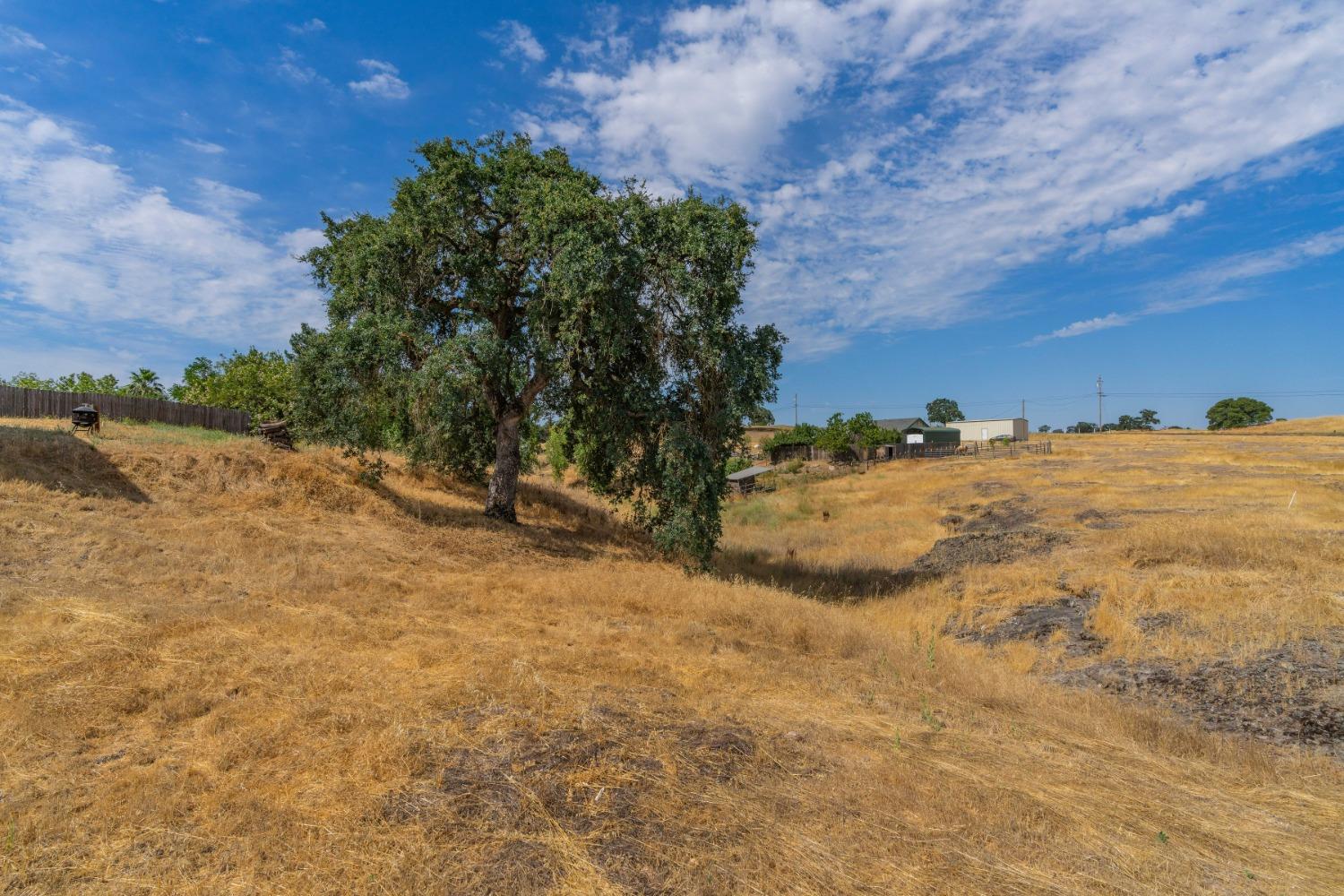 Newman Hill Drive, Ione, California image 13