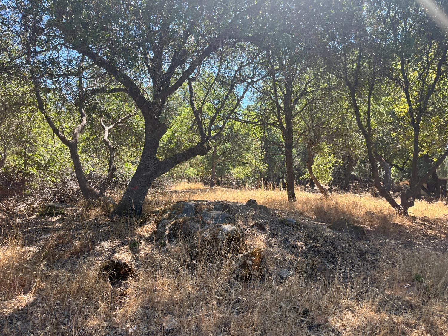 Photo of 3660 Mary Ln in Auburn, CA