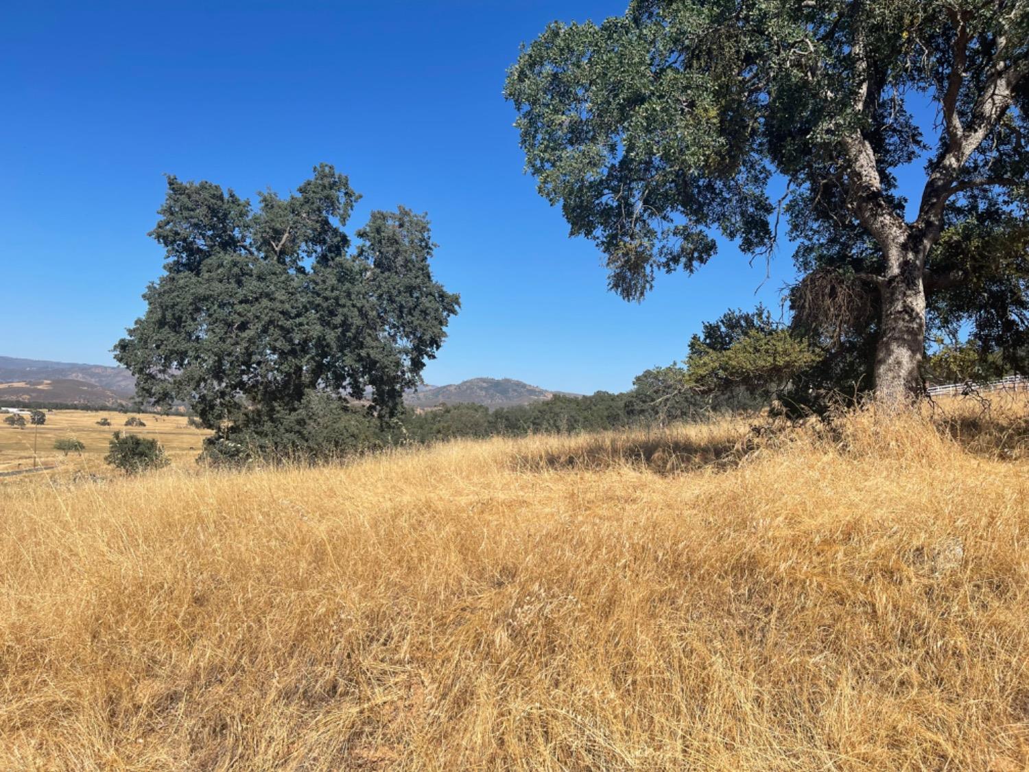 Mercado Drive, La Grange, California image 7