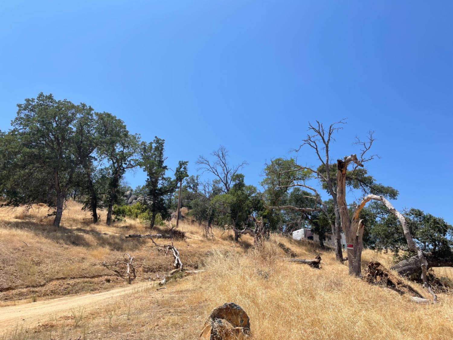 Mercado Drive, La Grange, California image 6