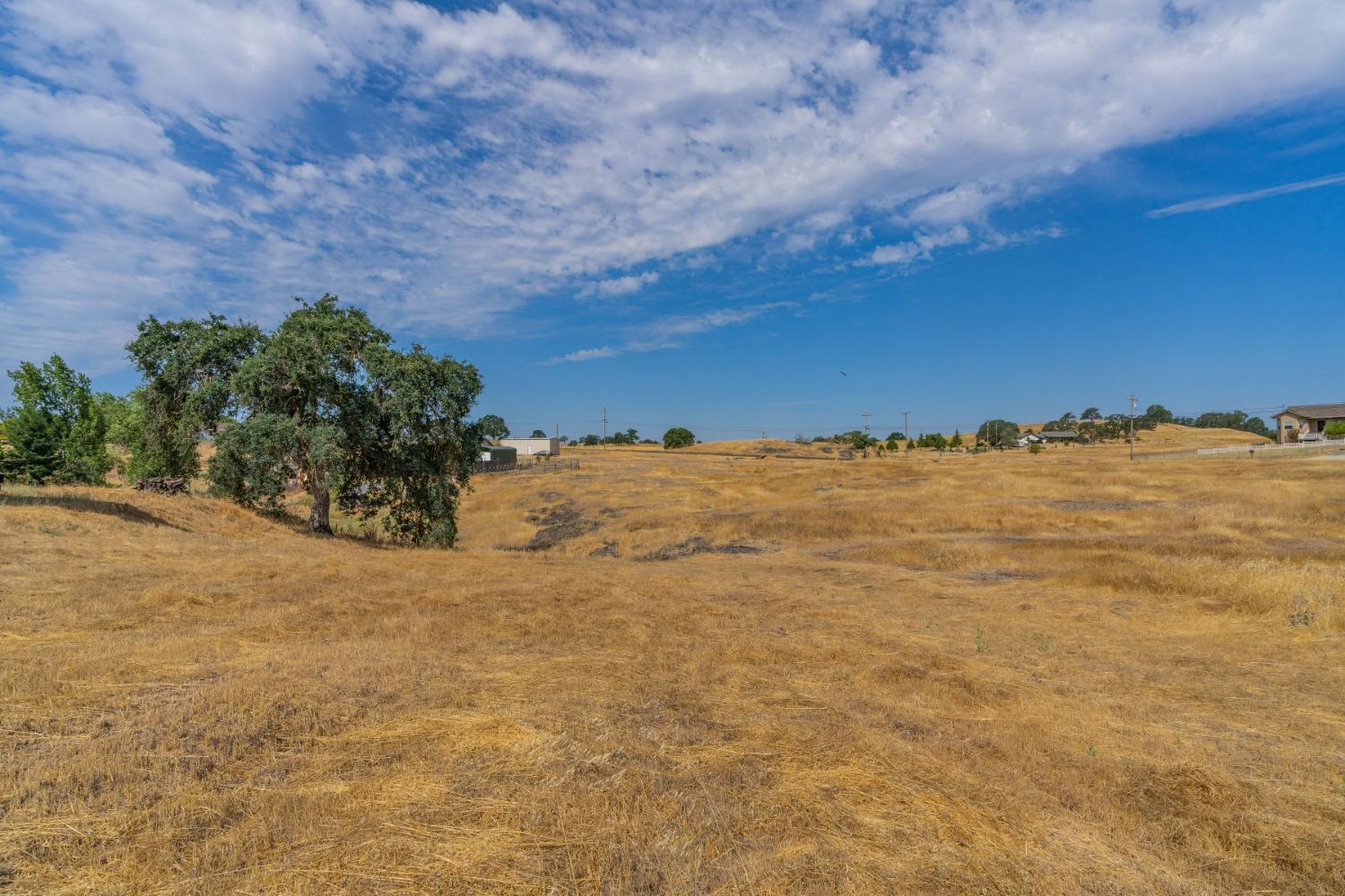 Newman Hill Drive, Ione, California image 12