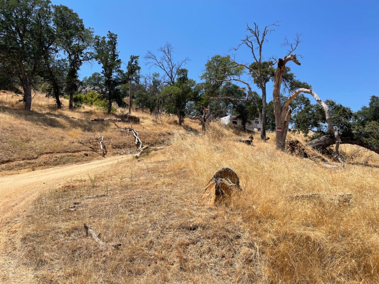 Mercado Drive, La Grange, California image 3