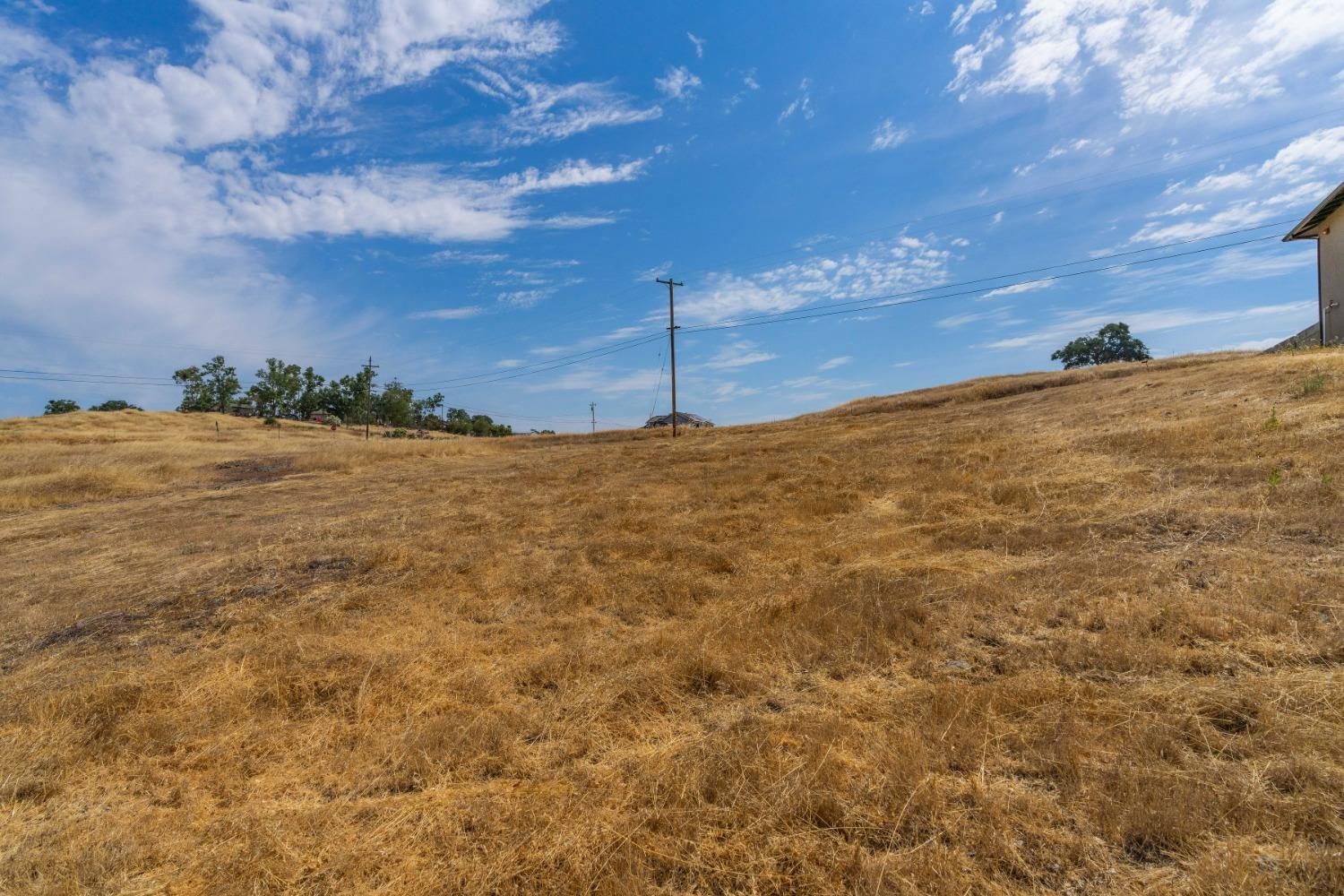 Newman Hill Drive, Ione, California image 11