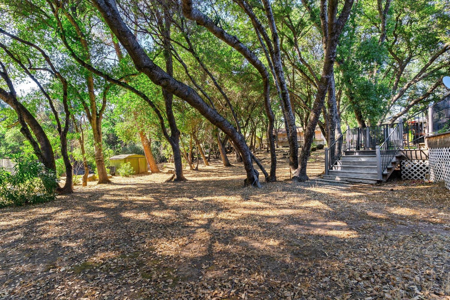 Lodgepole Drive, Penn Valley, California image 4