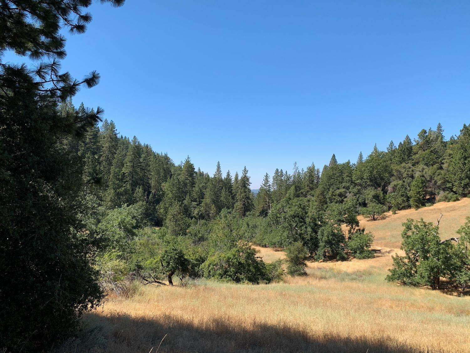 Photo of 16894 River Ranch Rd in Grass Valley, CA