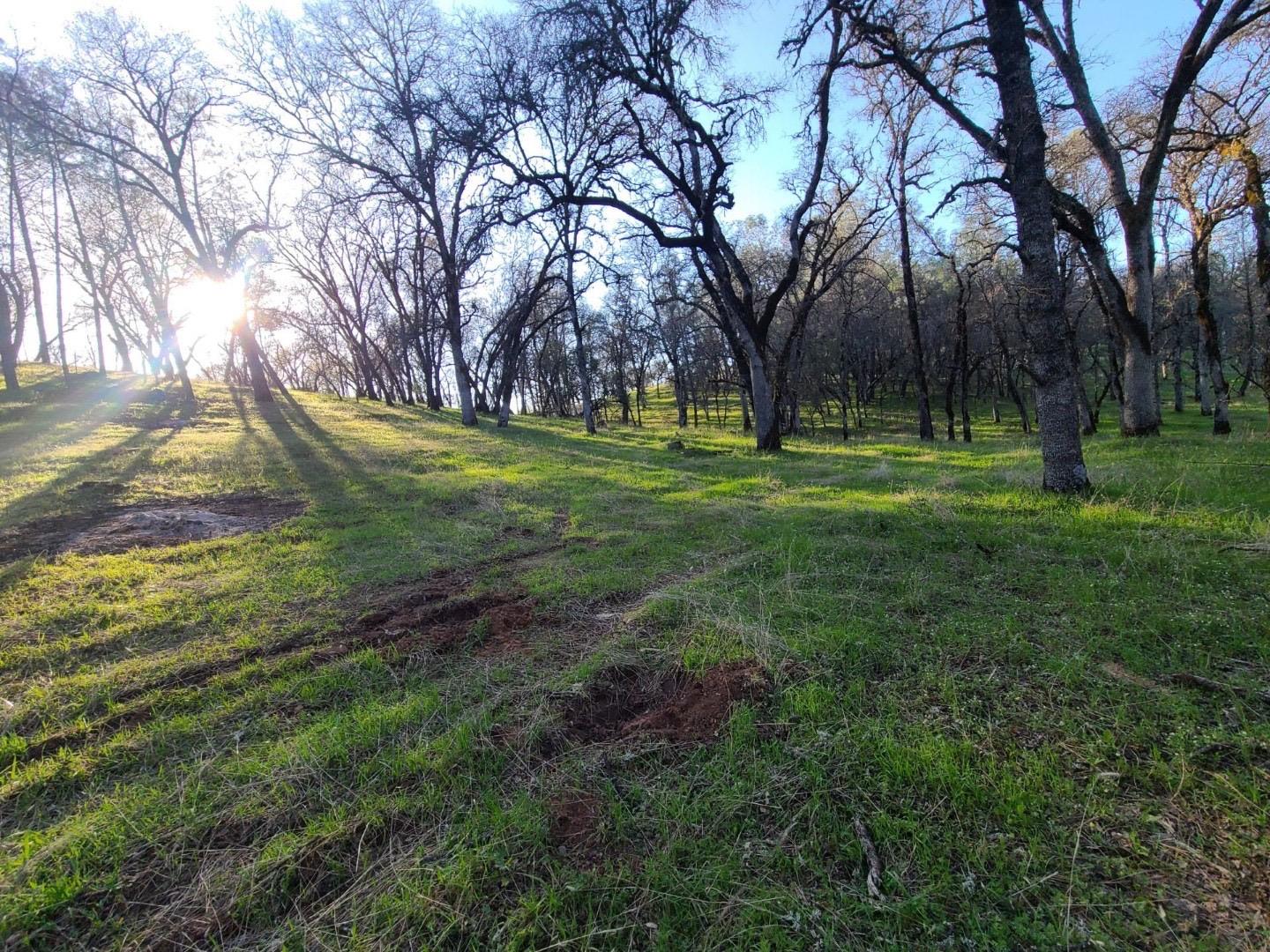 Retherford Road, Grass Valley, California image 8