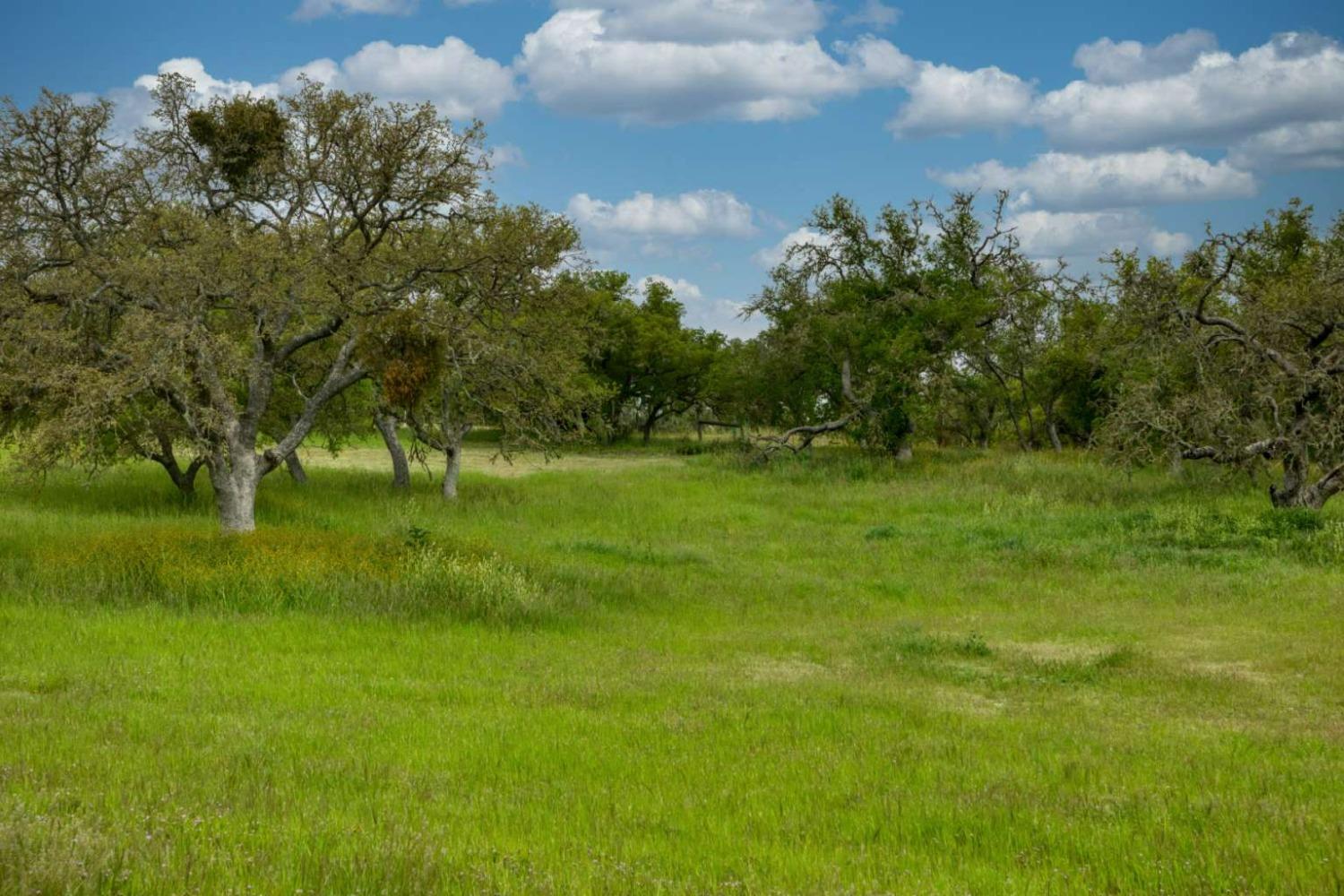 Heron Circle, Bradley, California image 1