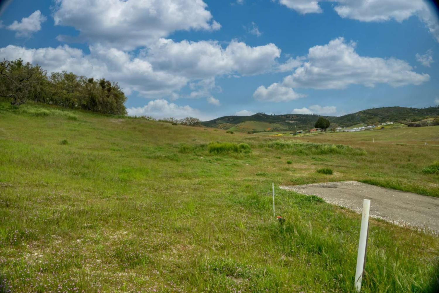 Heron Circle, Bradley, California image 2