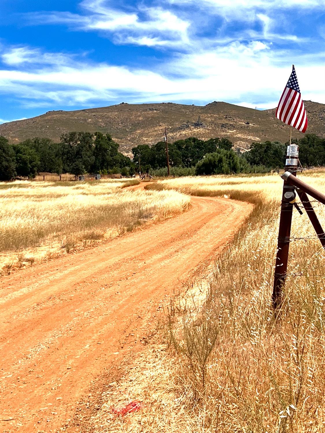 Hogan Dam Road, Copperopolis, California image 3