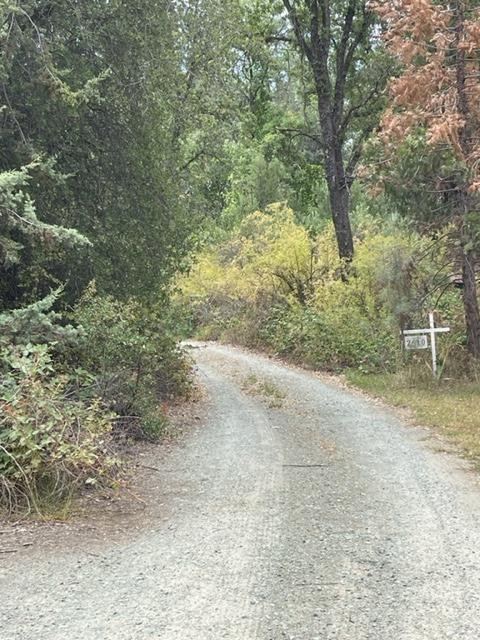 Ranch Road, Placerville, California image 6