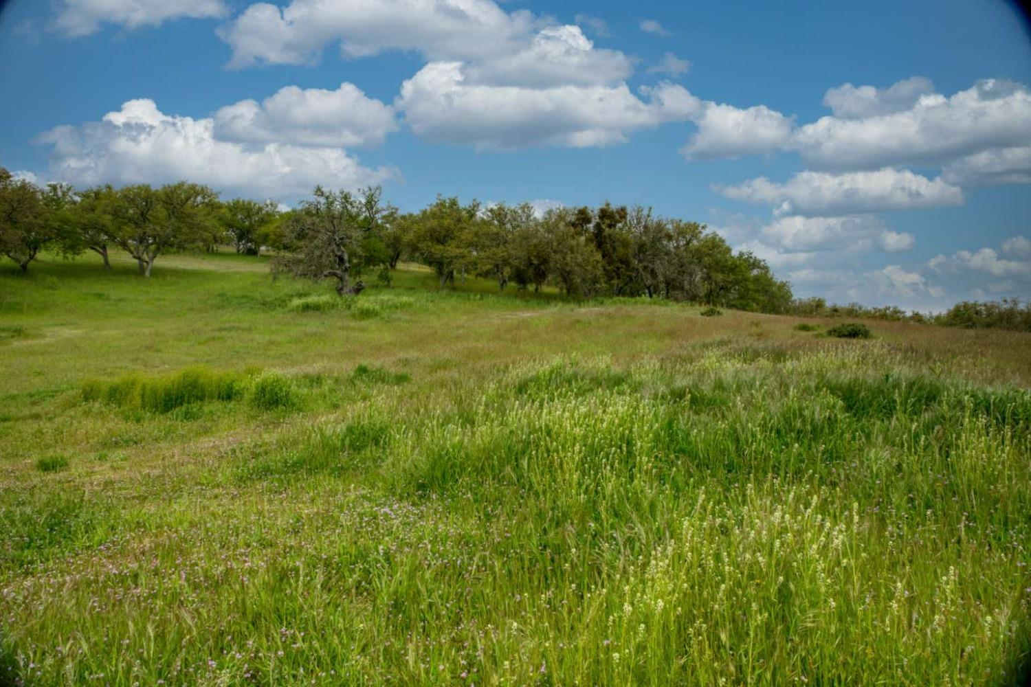 Heron Circle, Bradley, California image 5