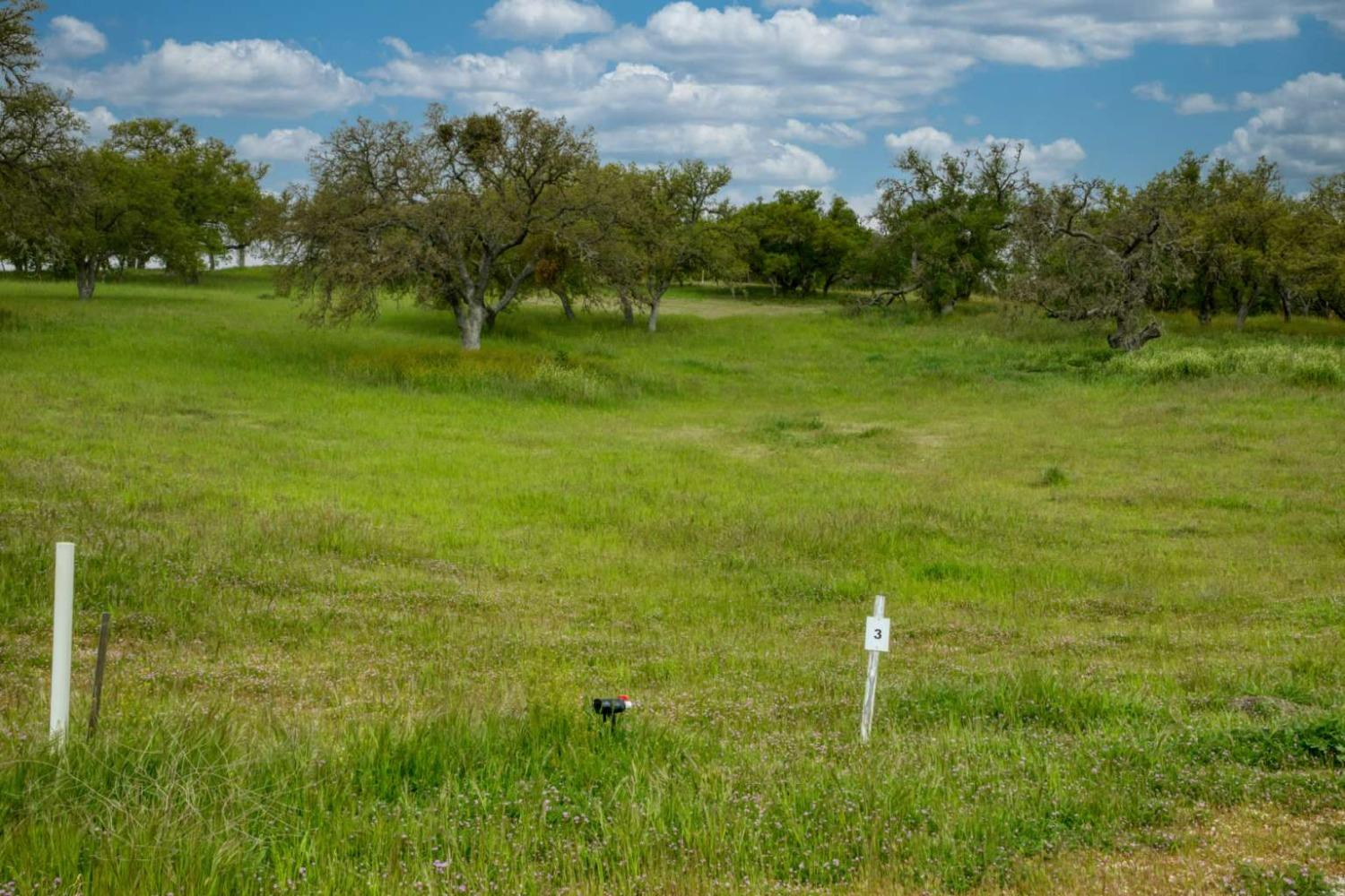 Heron Circle, Bradley, California image 4