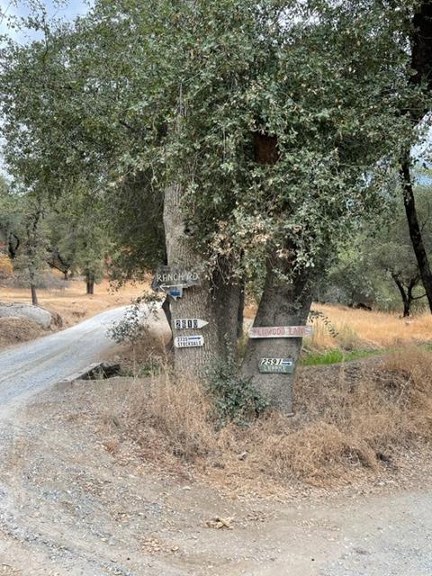 Ranch Road, Placerville, California image 40