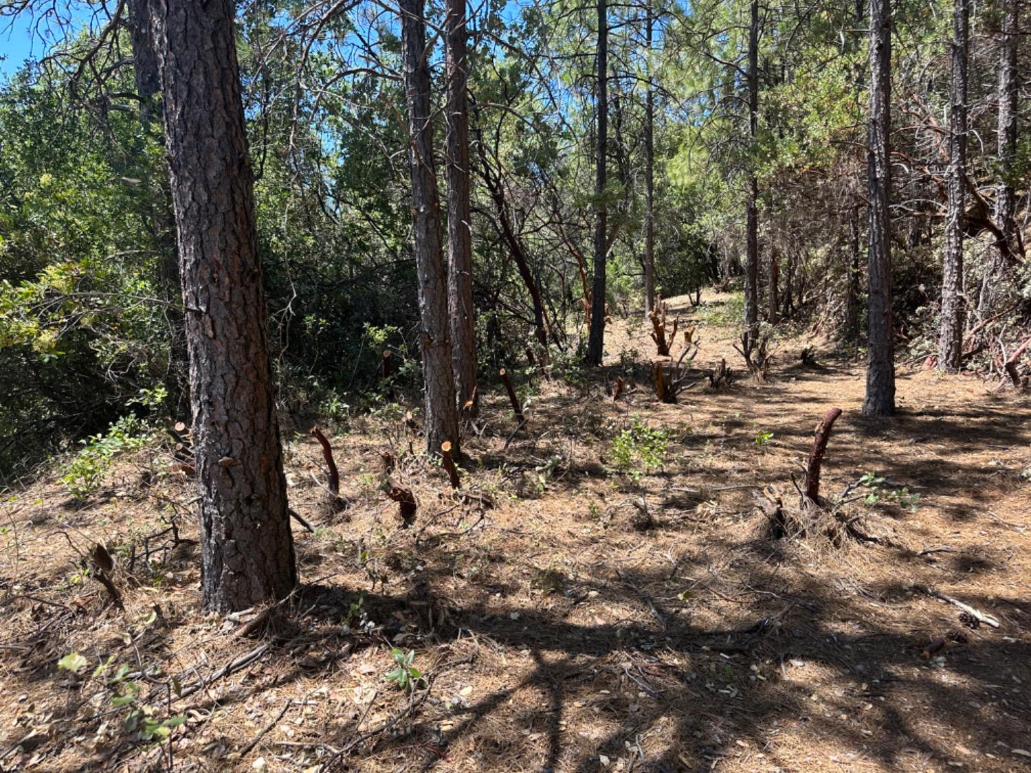 030-440-010-000, Sutter Creek, California image 8