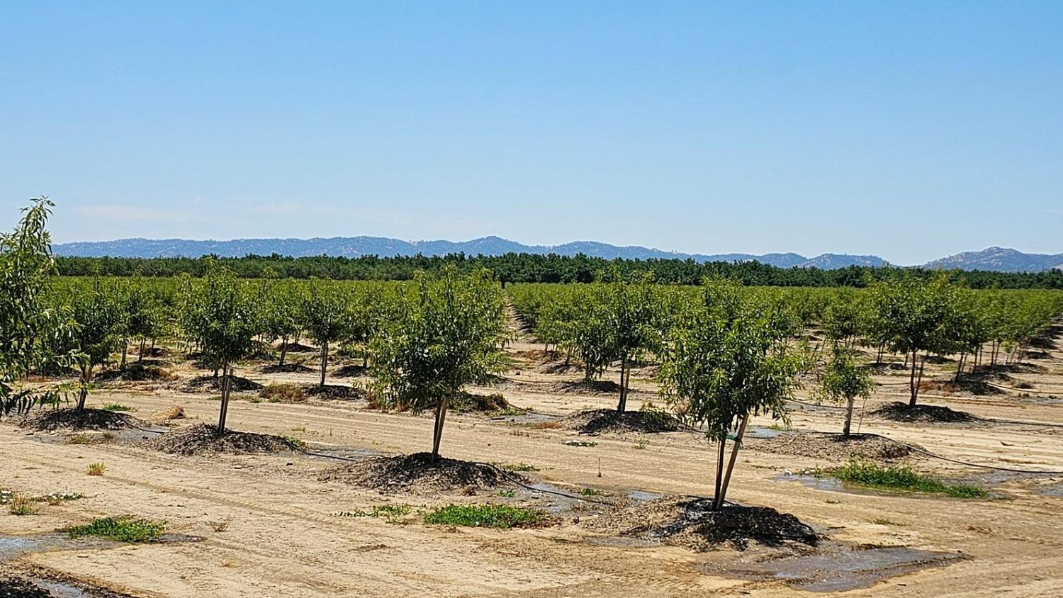 Breuner Road, Arbuckle, California image 1