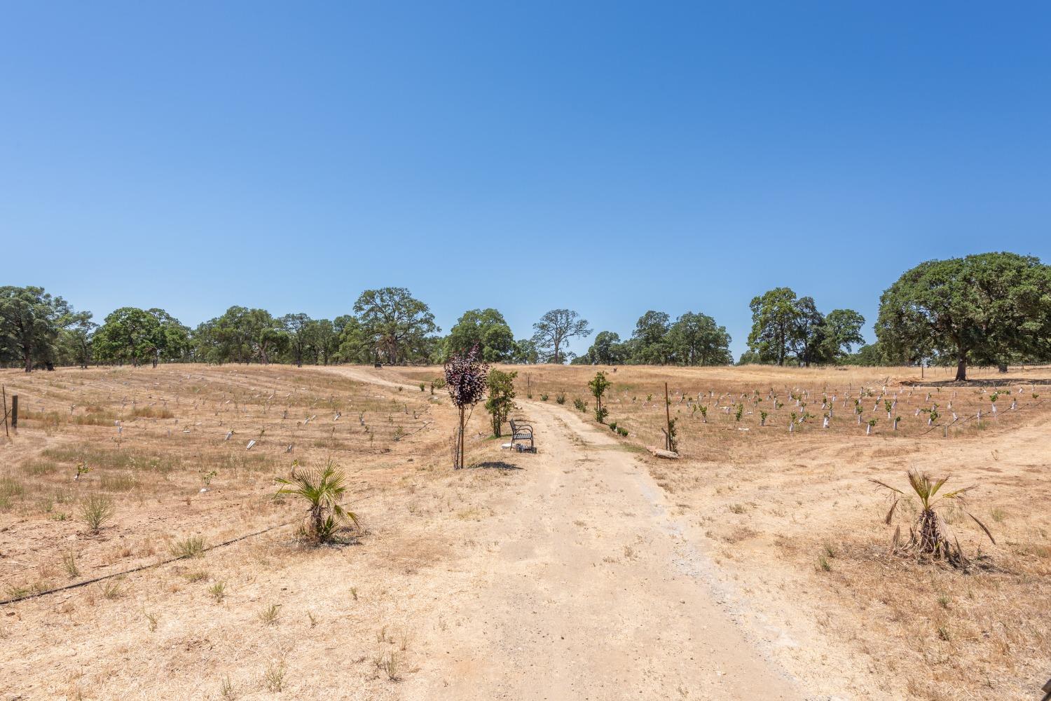 Latrobe Road, Plymouth, California image 50