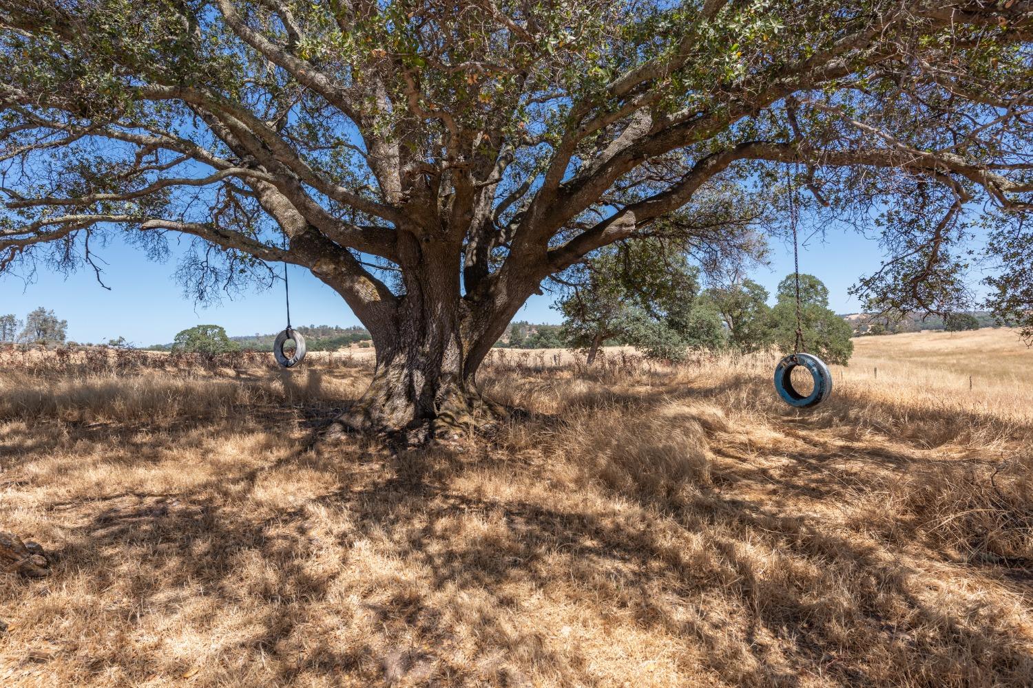 Latrobe Road, Plymouth, California image 39