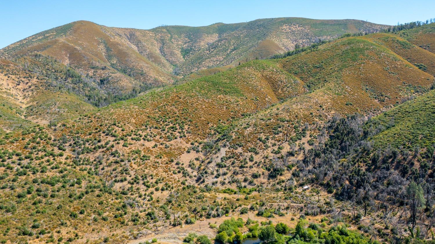 Tailings Drive, French Gulch, California image 3