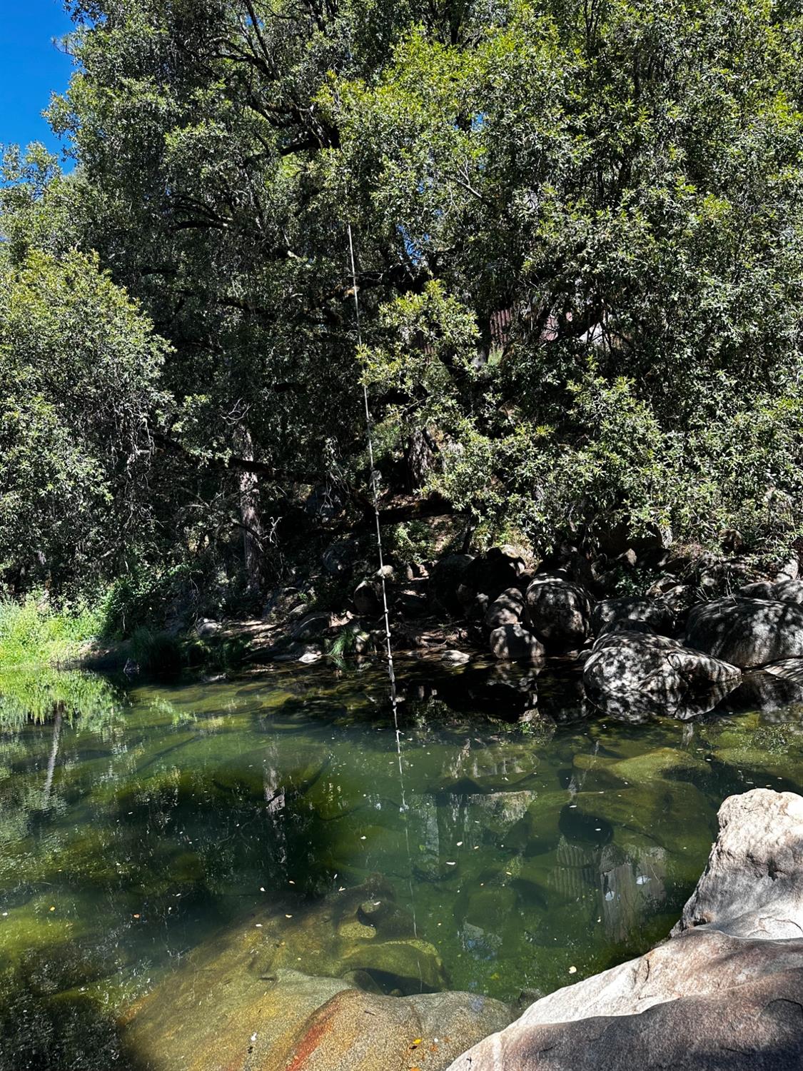 River Trail, River Pines, California image 3