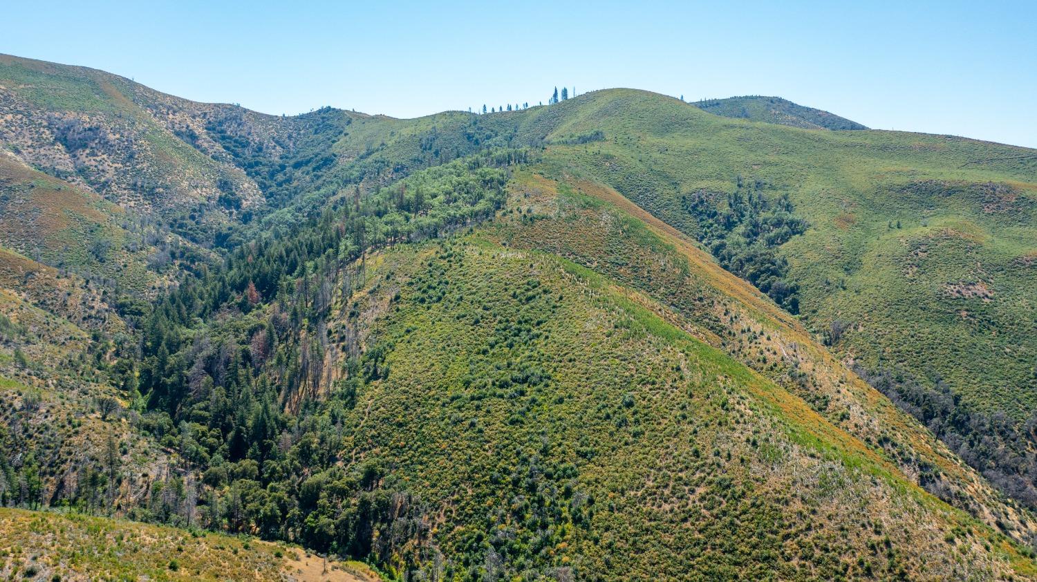 Tailings Drive, French Gulch, California image 7