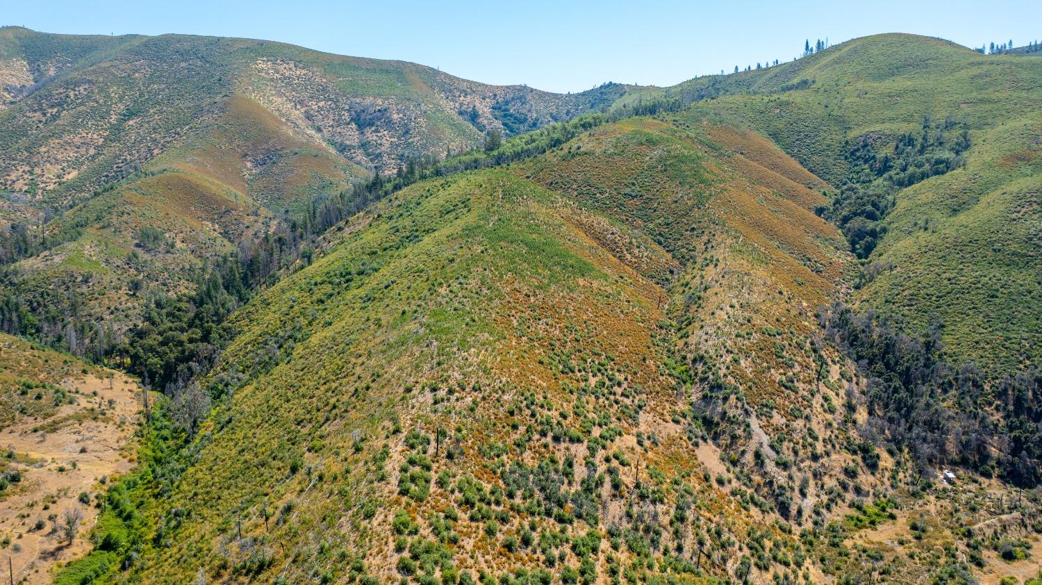 Tailings Drive, French Gulch, California image 5