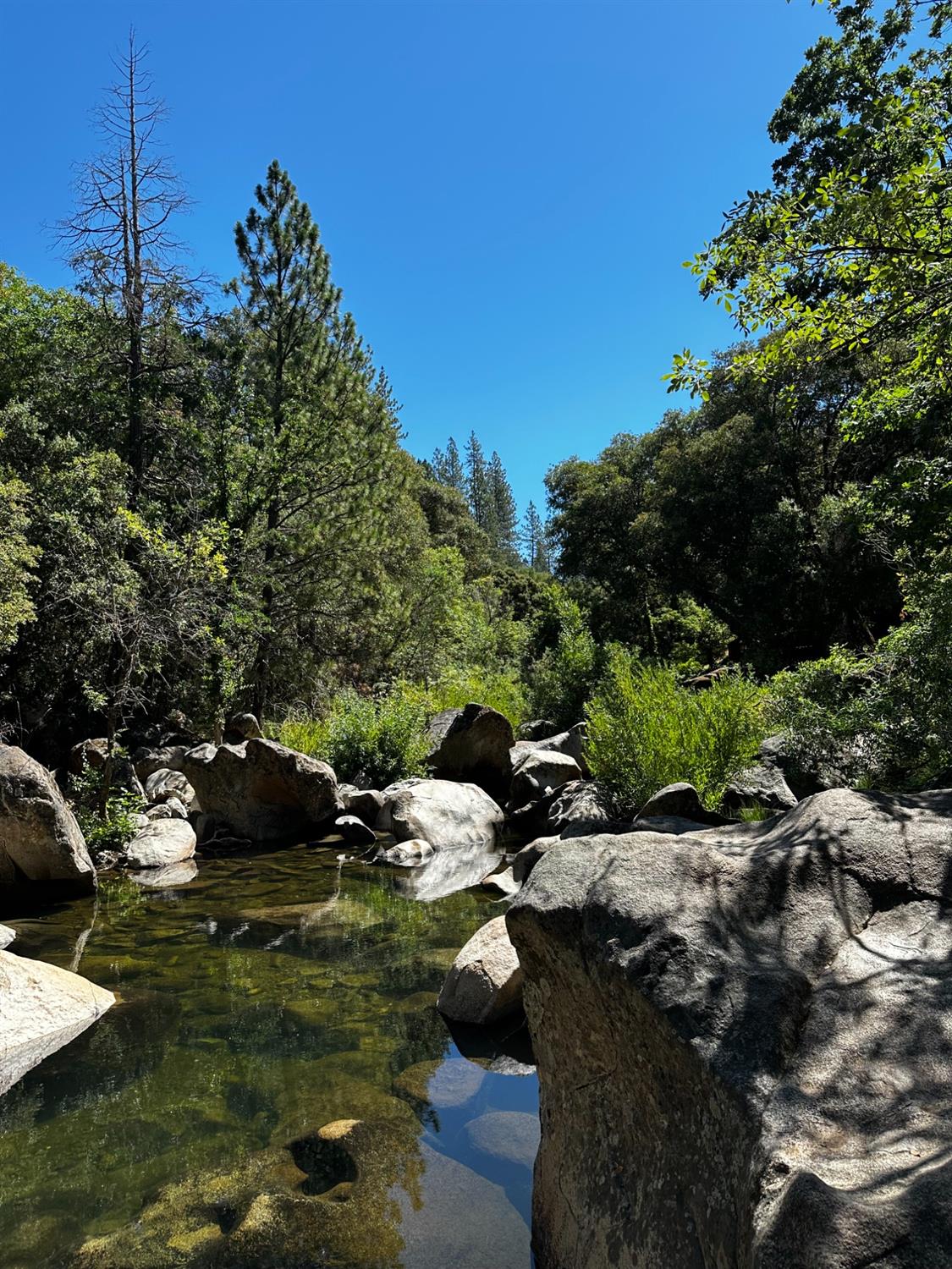 River Trail, River Pines, California image 5