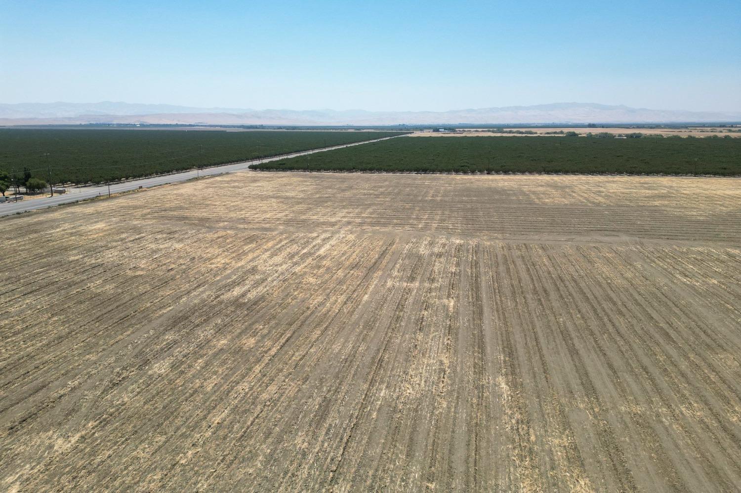 Jayne Avenue, Coalinga, California image 3