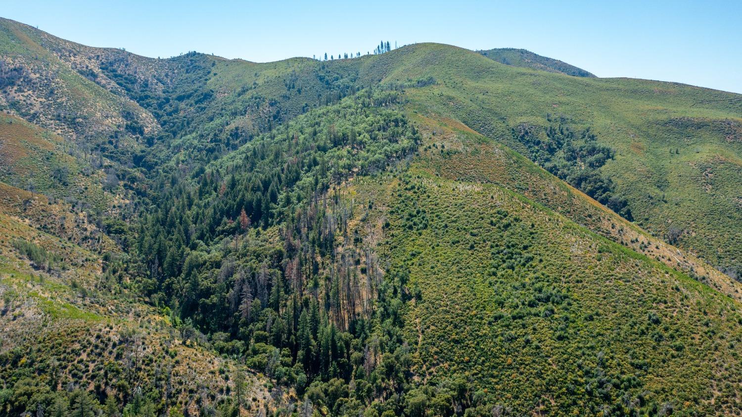 Tailings Drive, French Gulch, California image 8