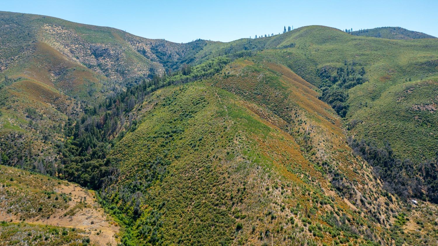 Tailings Drive, French Gulch, California image 6