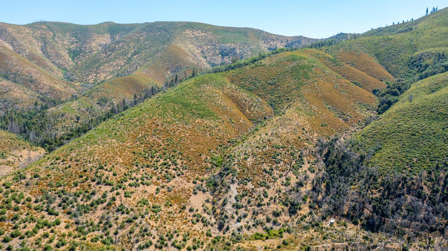 Tailings Drive, French Gulch, California image 4