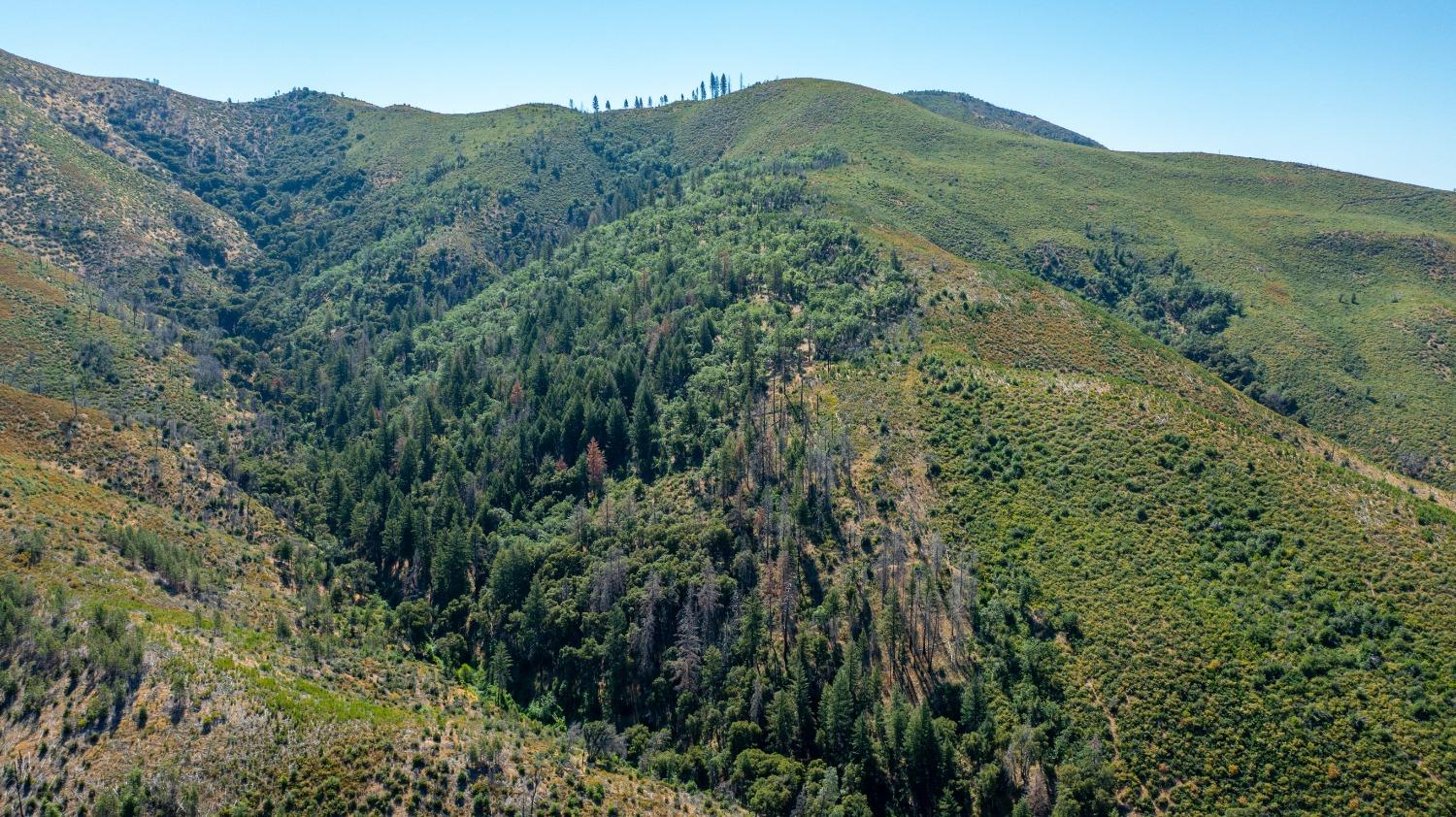 Tailings Drive, French Gulch, California image 9